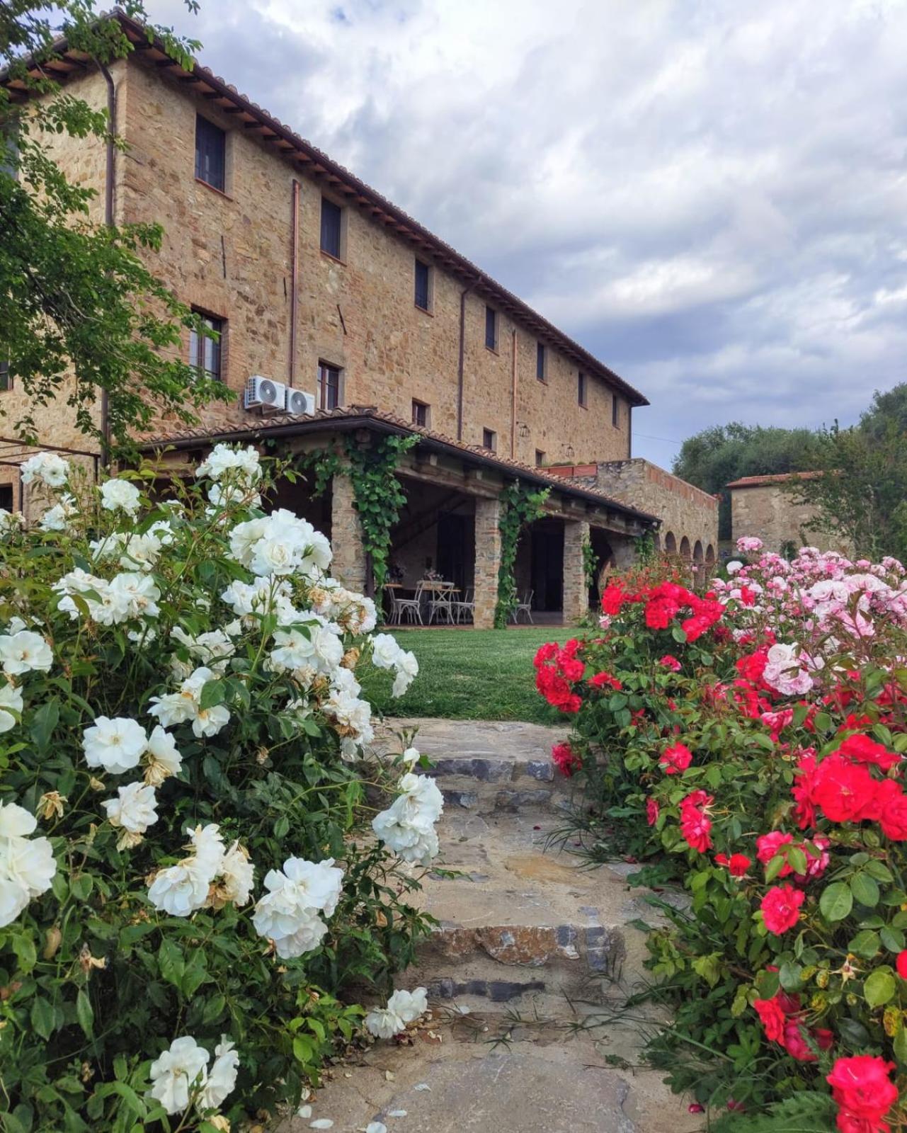 Podere Montale Winery Seggiano Exterior foto