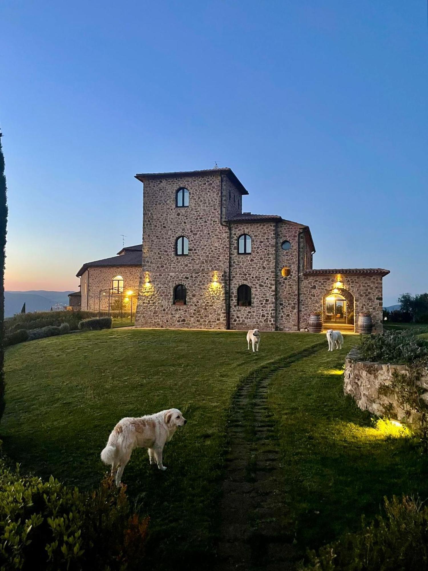 Podere Montale Winery Seggiano Exterior foto